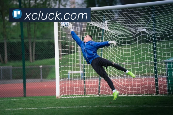 新城娱乐官网APP 高清赛事图