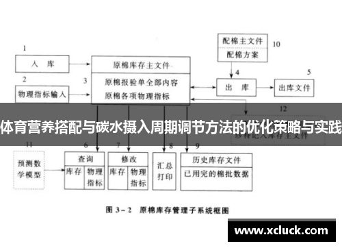 体育营养搭配与碳水摄入周期调节方法的优化策略与实践